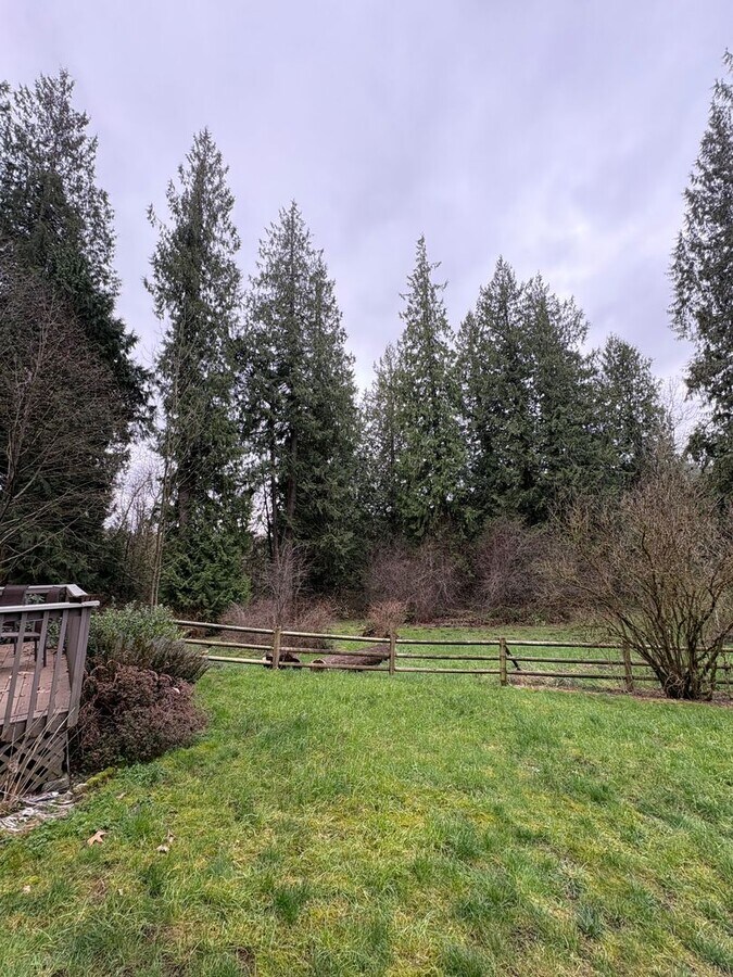 Photo - Beautiful MIL unit 2 bed 1 bath deck Nestled Squak and Cougar Mt (Issaquah)