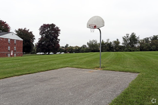Basketball Court