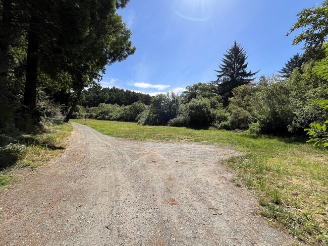 Photo - Pet-Friendly Private Home On Large Lot With Detached Garage!