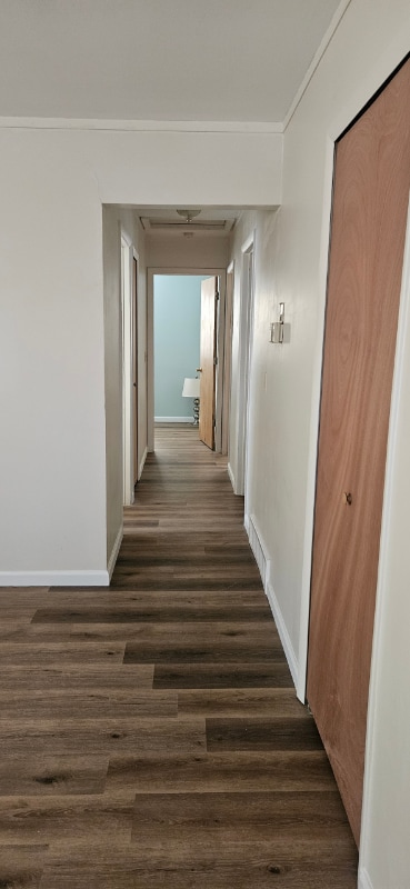 Photo - 924 Hammond St