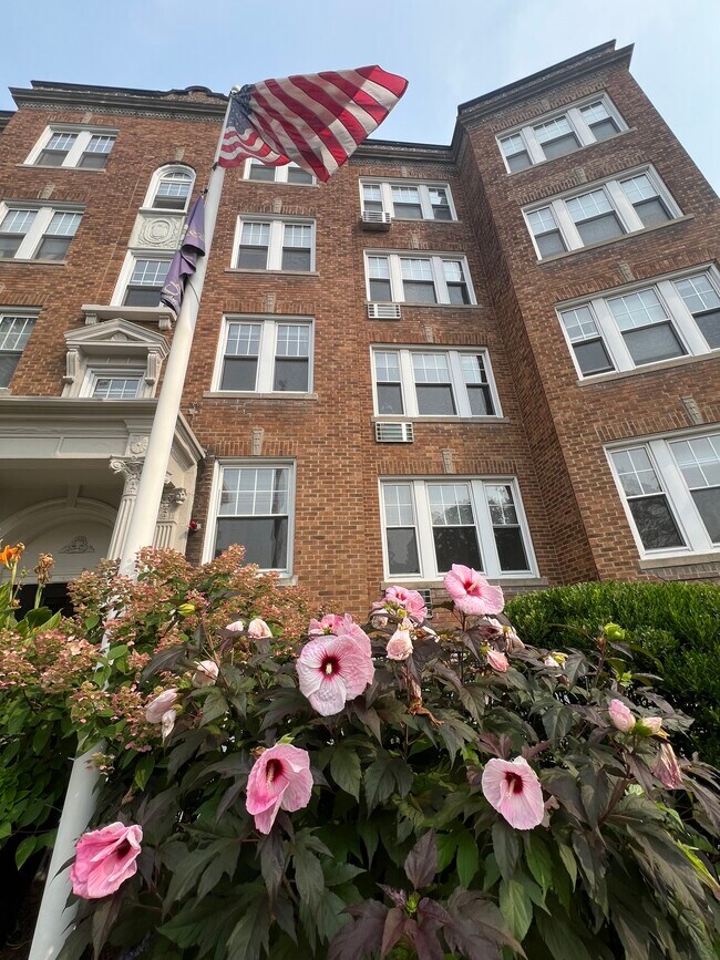 1 Langdon St Unit 6