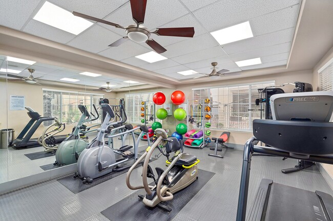 Fitness Center - Destinations Spring Valley 55+ Active Adult Apartment Homes