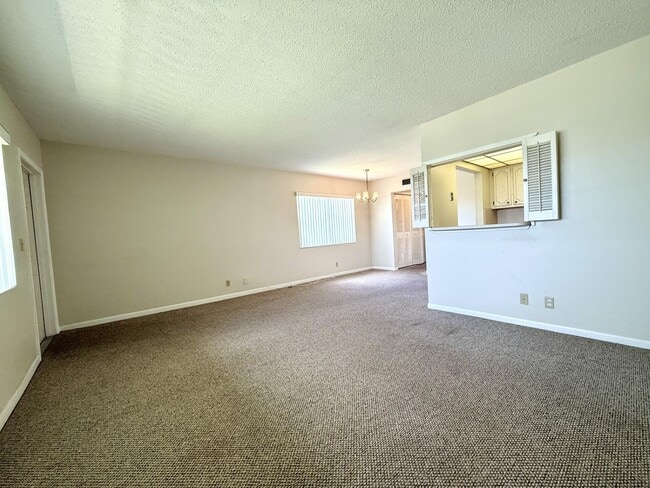 Photo - 69 Norwich C