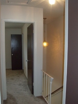 Ridgeway Pines
