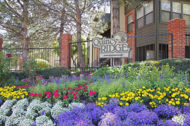 Quincy Ridge Apartments - Quincy Ridge Apartments