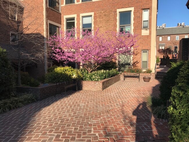 Building Photo - 1715 15th St NW Unit 204