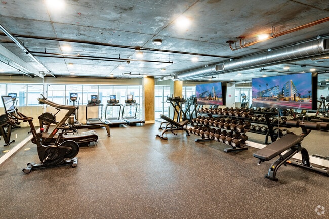 Gimnasio