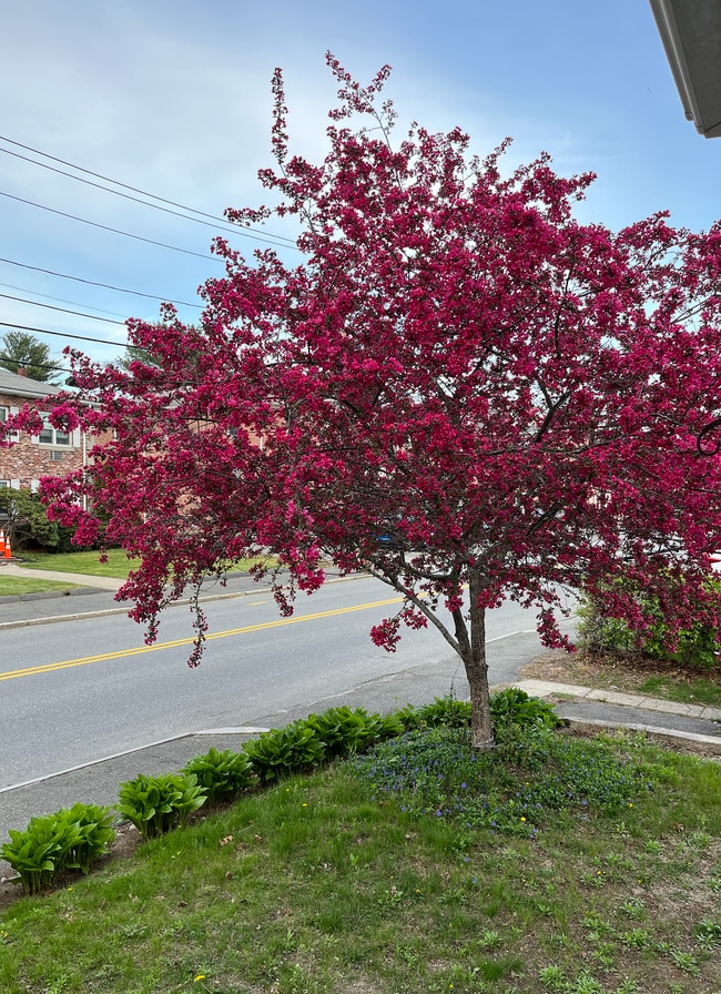 Photo - 14 Kilby St
