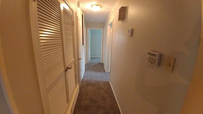 Photo - Location....Location....Location....