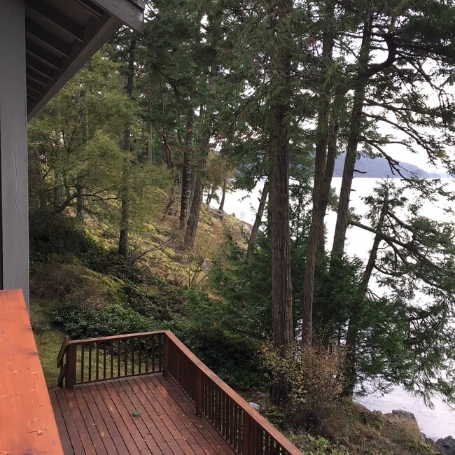 Photo - Medium-Low Bank Waterfront Home On Acreage