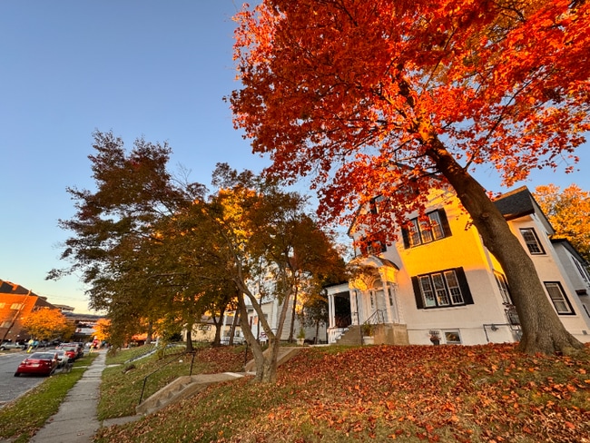 Photo - 630 Jefferson Ave Unidad 2