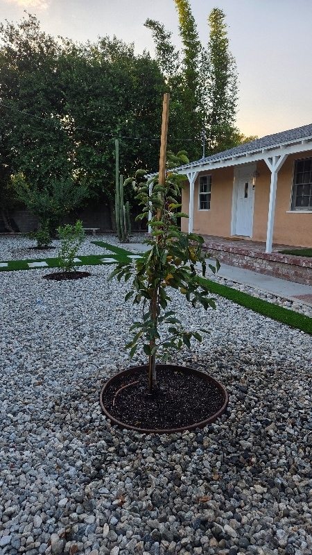 Photo - 12345 winnetka