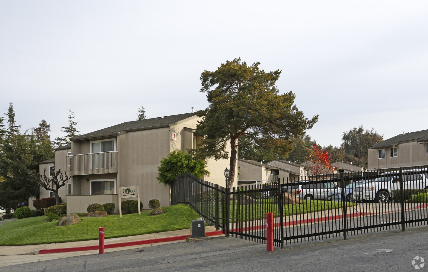 Photo - The Pines Apartments