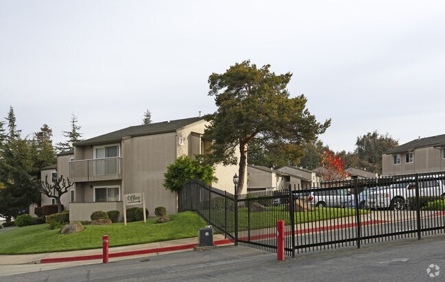 The Pines Apartments