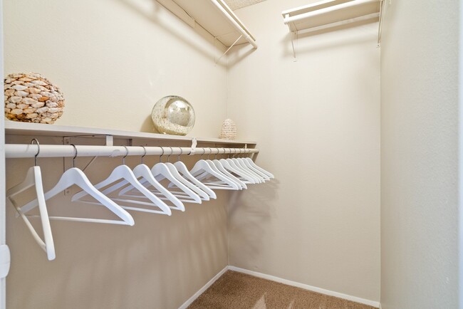 Huge closet in primary bedroom at River Oaks in Oceanside, CA