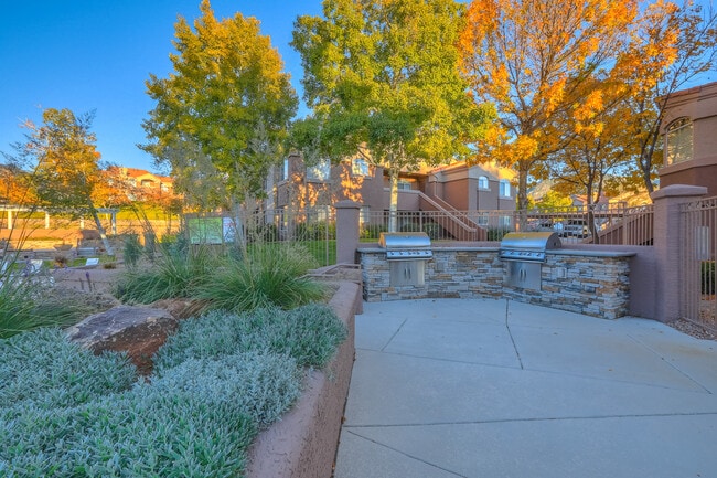 Outdoor patio with grills
