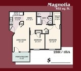Magnolia