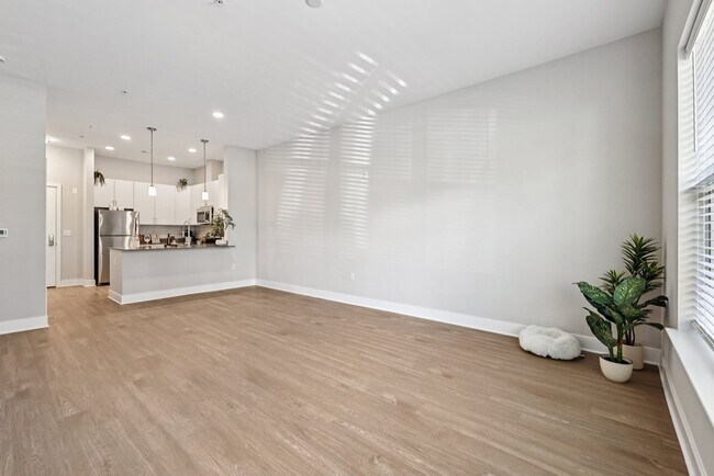 Elms Shady Grove