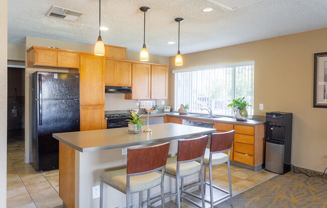 Photo - Desert Palms