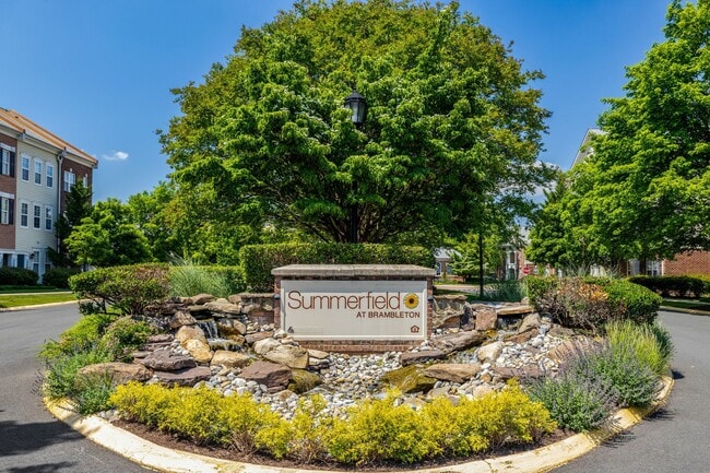 Building Photo - 42421 Rockrose Sq Unit 101