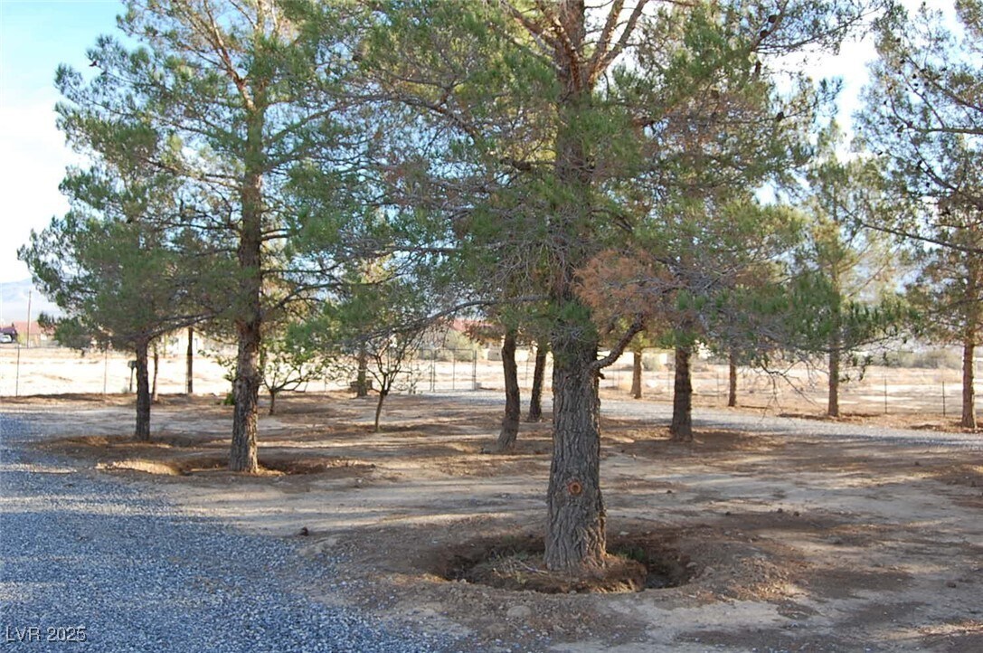 Photo - 1591 Avellaneda St