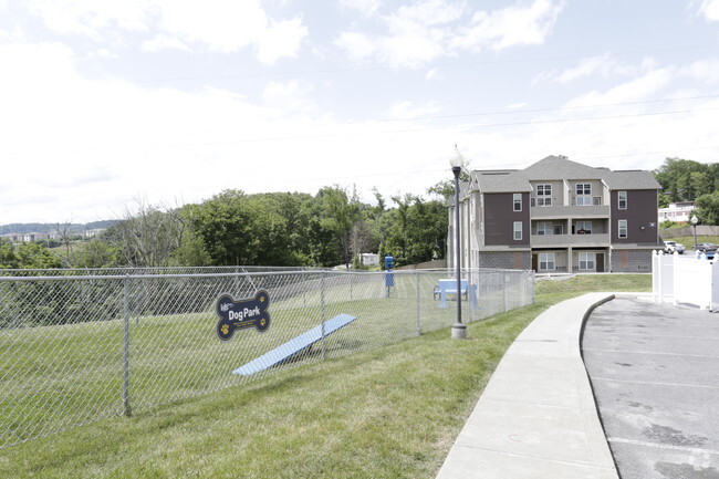 Dog Park - The Lofts (WV)