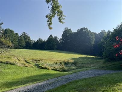 Photo - 250 Hobson Br Rd