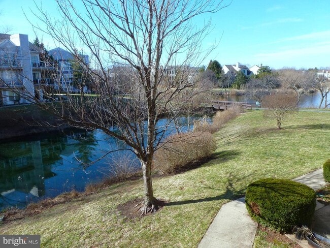 Photo - 20595 Cornstalk Terrace Unit 202