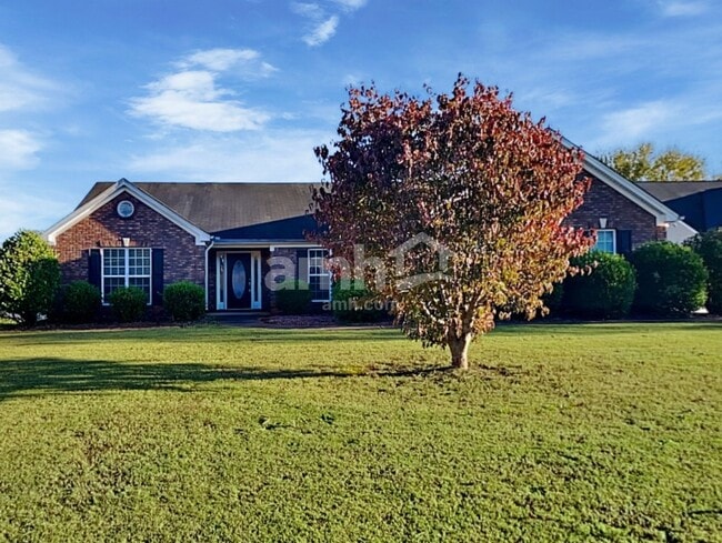 Building Photo - 521 San Dra Way