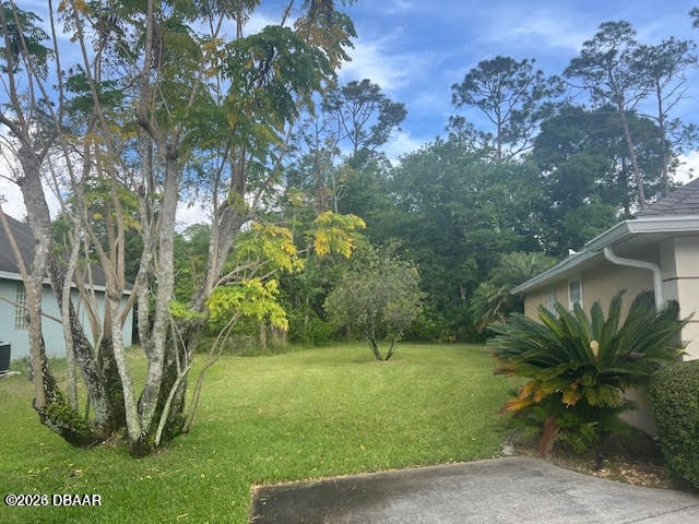 Photo - 4 Lonetree Look