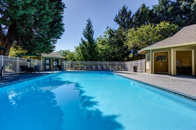 Commons at Avalon Park Apartments