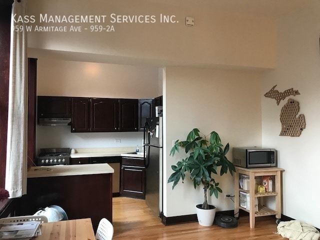 Photo - 959 W Armitage Ave Unit 959-2A