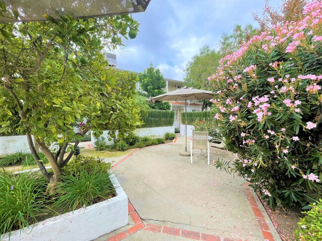 Building Photo - Studio Apartment - Parking included-Open House Tuesday at 5pm Unit 814-B2- single