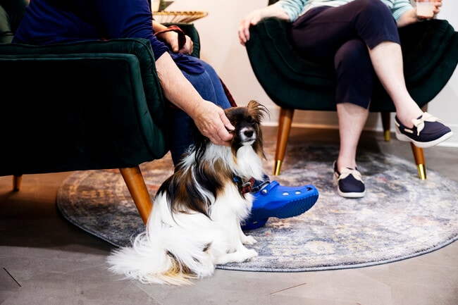 Photo - Sanders Flats