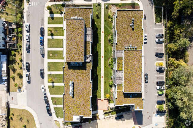 Green Roof