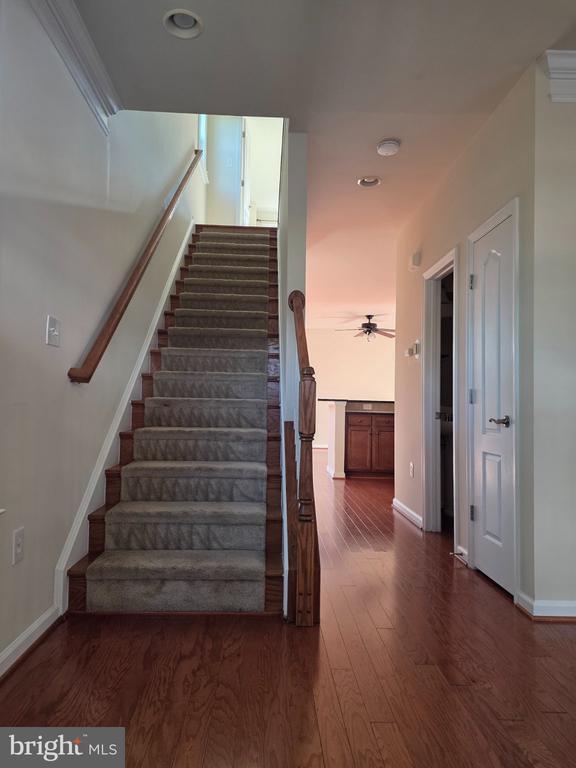 Photo - 20667 Maitland Terrace
