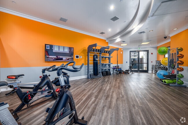 YOGA/GIMNASIO