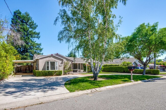 Photo - Single Story Gem in Saratoga! Quaint 3 BR 1.5 BA Home Ready for Occupancy with all new Air Condit...