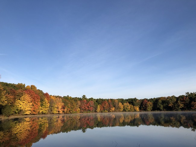 The Preserve at Great Pond Apartments For Rent in Windsor, CT | ForRent.com