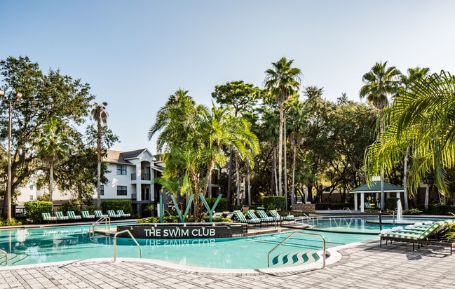 The Ivy