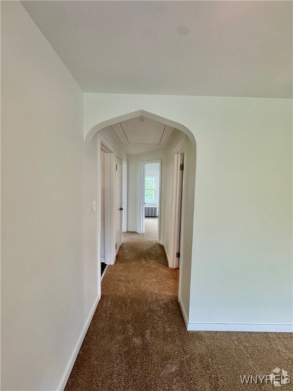 Building Photo - 268 Callodine Ave Rental
