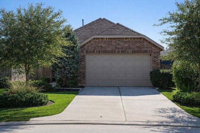 Photo - 137 Emory Birch