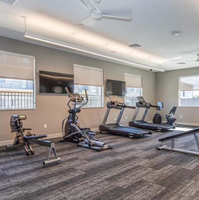 Photo - The Landing on Horizon