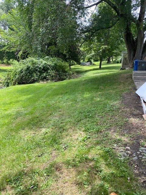 Left side yard - 57 Forest Ave