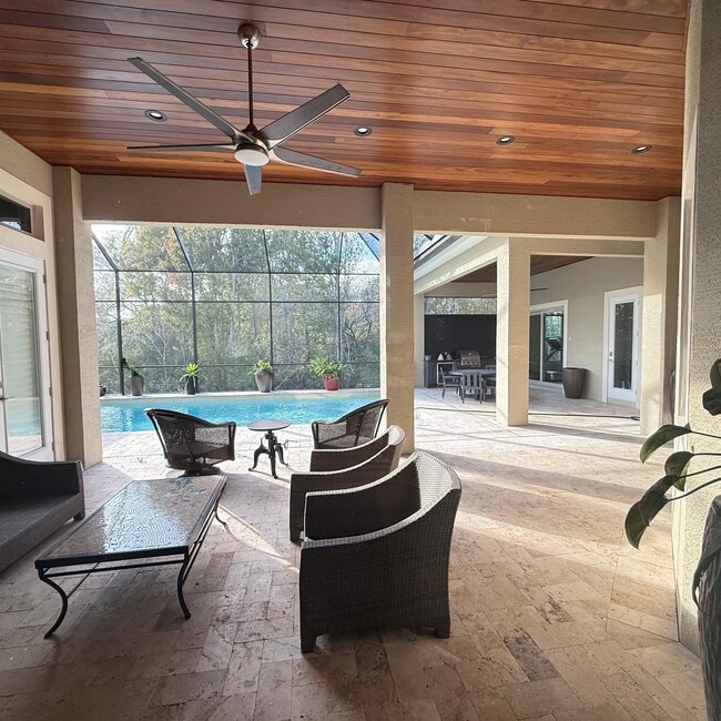 Photo - 1 Lionspaw VII Nobles