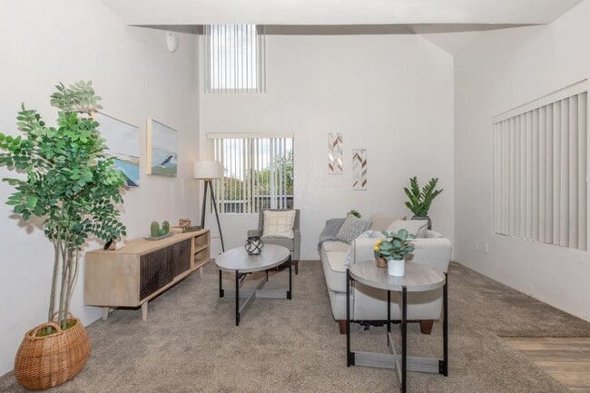 Photo - Arches at Oracle