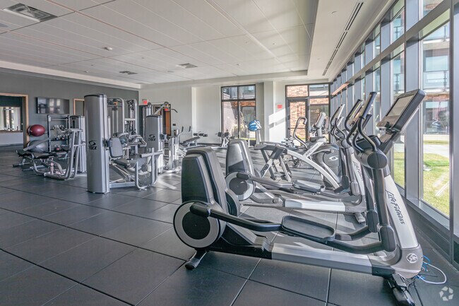 Fitness - The Berkman