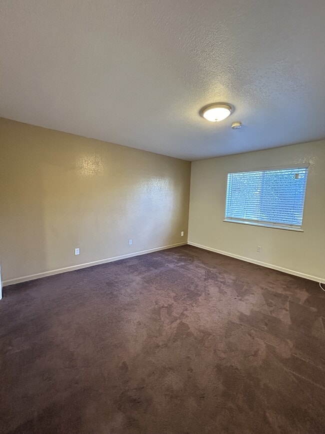 Photo - 58 Marys Ave