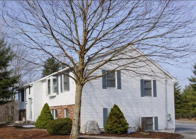 Building Photo - 76 Franklin St Unit 1