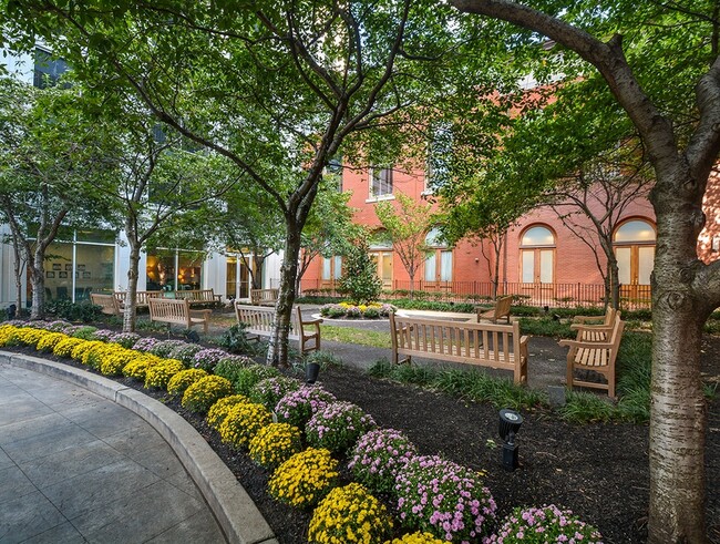 Shaded Courtyard - The St James Apartments